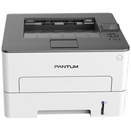  Принтер Pantum P3010DW 