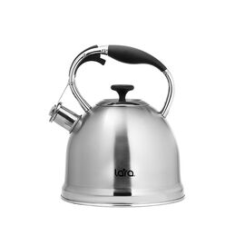  Чайник LARA LR00-75 матовый 3.3л 