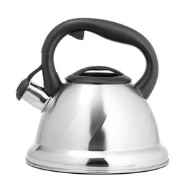  Чайник LARA 3 л, автоподъем крышки. ненагревающаяся ручка. капсулир.индукцион. дно 