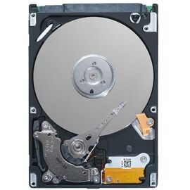  HDD+Tray DELL 400-AZYE NL10TB/7200 SAS3 3.5/3.5" 