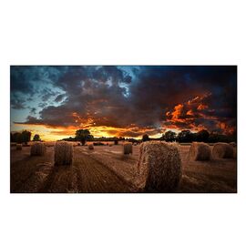  Панель Samsung LH46VMBUBGBXCI черный IPS LED 8ms 16:9 DVI HDMI полуматовая 1200:1 500cd 178гр/178гр 1920x1080 DP FHD USB 15.7кг 